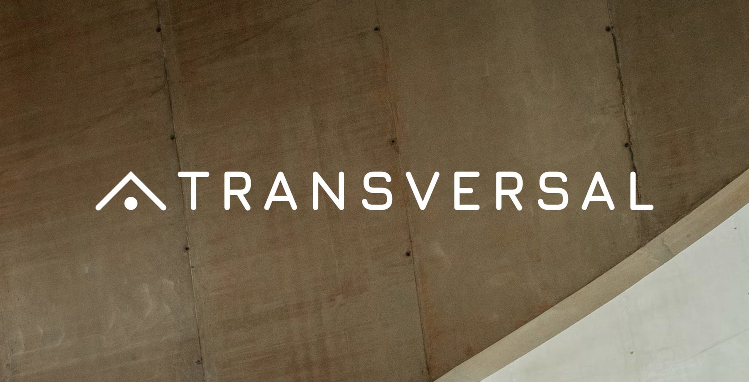 Proyecto de branding para el estudio de arquitectura Transversal