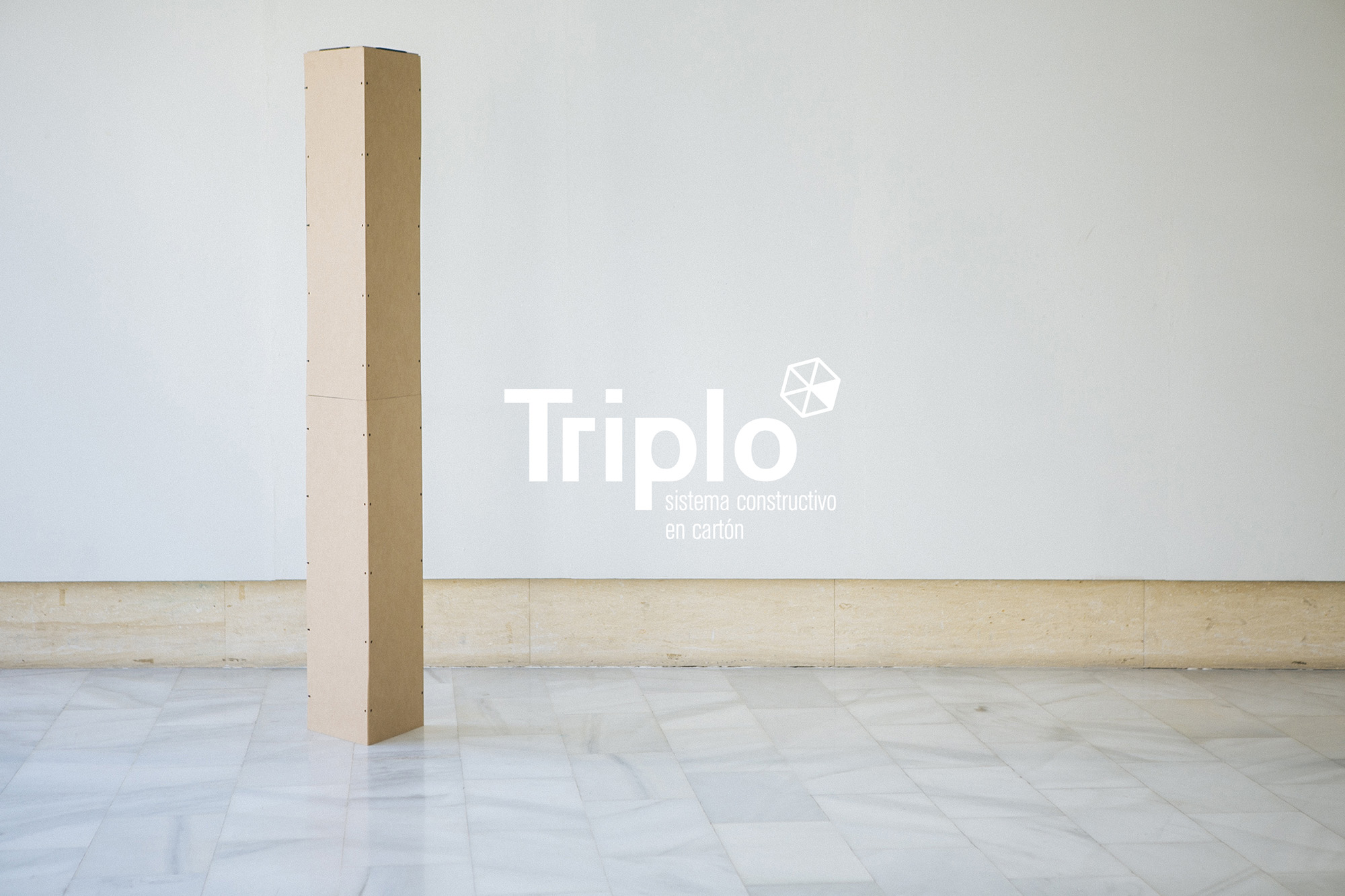 Triplo* Sistema Constructivo